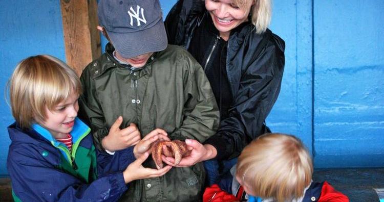 Grams. Det er sjovt at røre ved dyrene og mærke, at søstjerner føles glatte og småslimede, mens krabber hopper og hapser. 