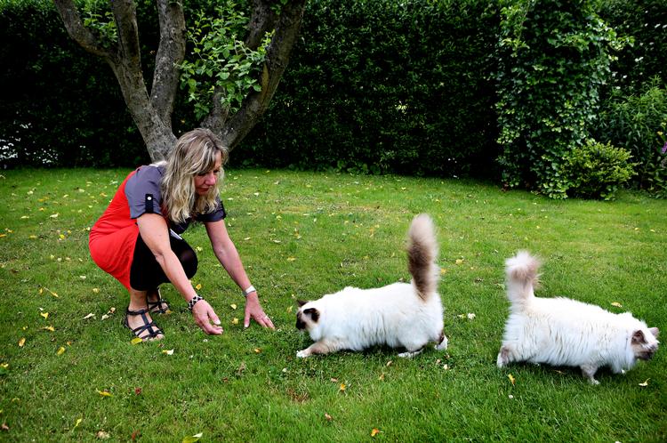 Fokus. Lillian Weedsgaard har lært sig selv at mærke bedre efter, hvordan det føles, når hun kæler for en af husets fire katte. Det har en terapeutisk funktion. Og når de skal have mad, nytter det ikke at blive i sengen, selv om det er en af de svære dage. 