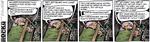 rocky_2012-08-28