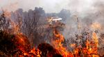 Spain Wildfire