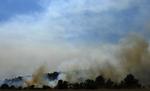 Flammehav. Skovbrande i det nørdøstlige Spanien har indtil nu nedbrændt 7000 hektar skov. 