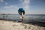 Sommer i Danmark. Amager Strandpark.