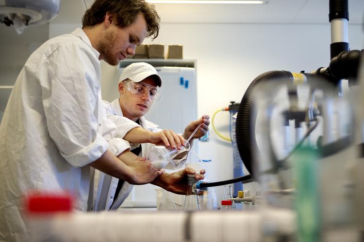 STUDIEKRAV. Masser af studerende sveder i sommerferien for at opnå de rigtige fagkrav, så de kan komme ind på drømmestudiet. 