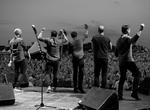 Populært. Nephew. L.O.C., Malk de Koijn, Burhan G, Alphabeat og Rasmus Seebach har været en del af årets Grøn Koncert. 