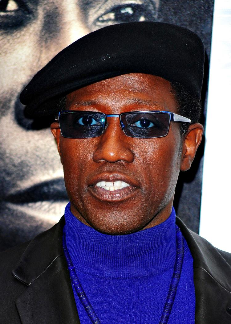 Action. Wesley Snipes har indtil videre ikke mindst gjort sig gældende i spektakulære, hollywoodske action- og tre vampyrfilm. Måske henter han nu ny inspiration til actiongenren under sit fængselsophold, hvorfra han slipper ud om et år. 