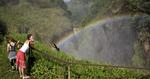 NATUR. Nationalparken Murchison Falls er et af de steder som turisterne i Uganda besøger. 