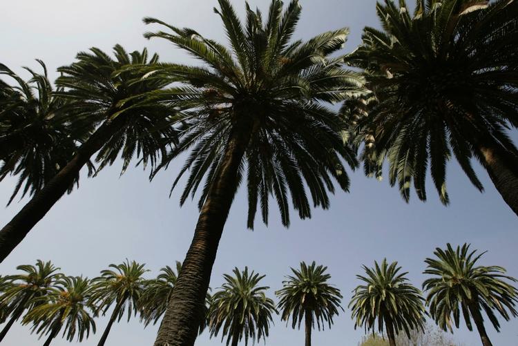 Antarktis. For 53 millioner år siden var der palmetræer og sommertemperaturer på Antarktis. 