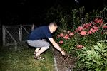 Tittebøh. Lars Vallentin er en af de mange danske haveejere, der i disse uger forsøger at begrænse antallet af snegle. 