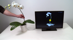 Plantemus. Ved at sætte en elektrode i potten kan forskere ved Disney nu måle, hvor man berører planten - som her en orkidé. Dermed kan den styre en computer, og bruges som f.eks. musikinstrument. 