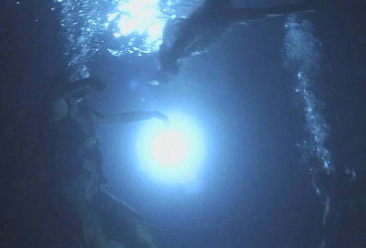 Undervandsopera. Holdet bag operaen har tidligere opført undervandsopera inden for i art nouveau-omgivelser. 