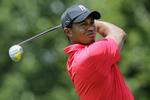 golf. Tiger Woods er på vej tilbage mod toppen af sporten efter utroskab, sexskandale og skilsmisse. 