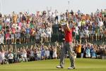 Triumf. Så må der jubles. Bolden er i hul for sidste gang, og så kan Rory McIlroy kan sig vinder i South Carolina. 
