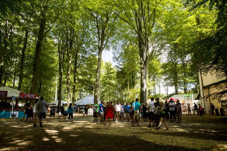 Pletskud Festivalen under trækronerne var en kæmpe succes i år, siger talsmand, Poul Martin Bonde. 
