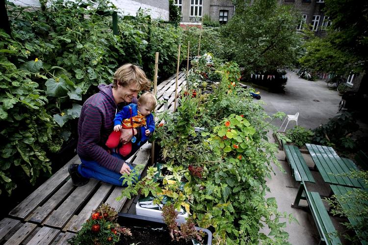 Mads Boserup Lauritzen og hans gårdlaug i en ejendom på Nørrebro har lavet en stor grøntsagshave på toppen af skraldeskuret i gården. Vi taler med ham i forbindelse med et Spis&amp;Bo-tema om 'urban gardening' - havebrug i storbyen. 