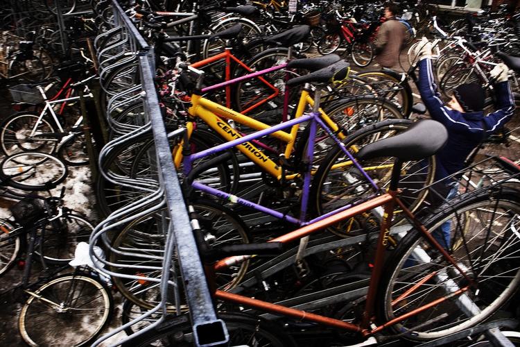 cykelrod. I dag er det kun politiet, som må fjerne ulovligt parkerede cykler, men fremover skal kommunerne også have den mulighed, mener justitsminister Morten Bødskov (S). 