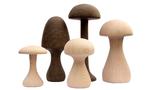 Applicata Funghi Svampe. 