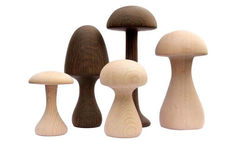 Applicata Funghi Svampe. 