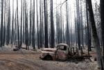 udbrændt. Den nordlige del af Californien er hårdt ramt af skovbrande. Her står en udbrændt bil i en lige så hærget skov i nærheden af byen Manton. 