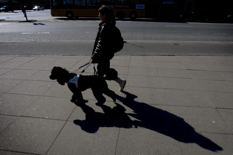 Slukket. Bip-lydene er ved en fejl blevet slukket, så blinde oplever flere trafikkryds som 'sorte' i de sene timer. (Arkivfoto) 