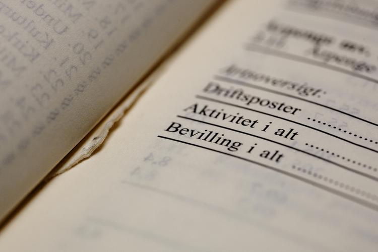 FINANSLOVEN. Regeringen har nu foreslået, hvordan familien Danmarks husholdningsbudget for det kommende år skal se ud. 