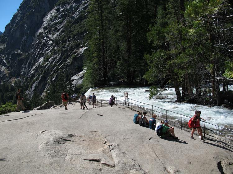 VIRUS. Fire millioner mennesker gæster årligt den amerikanske nationalpark Yosemite, der i øjeblikket plages af en dødbringende virus. 