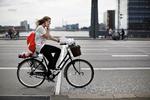 Ulovligt. Yndigt med blomster i kurven. Men knap så yndigt med telefonen ved øret på vej over Langebro i København. Kvinden her står til en bøde på 1.000 kroner. Foto: Miriam Dalsgaard 