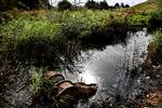 losseplads_05-09-2012_A0EV79E.jpg