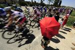 Feltet. Vuelta-rytterne skal på 17. etape op i over 1.000 meters højde. 