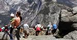 VIRUS. Fire millioner mennesker gæster årligt den amerikanske nationalpark Yosemite, der i øjeblikket plages af en dødbringende virus. 