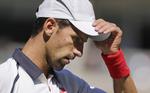Parat. Djokovic får nu chancen for at forsvare sin US Open-titel fra 2011. 