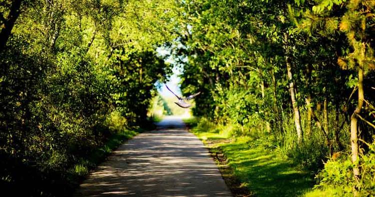 CYKELMEKKA. Bornholms cykelnet blev for alvor udvidet og udviklet i 1980’erne og årene derefter. Men nu går man ind i en ny fase. 