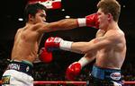 udbokset. Manny Pacquiao (tv) rammer Ricky Hatton under kampen mellem de to boksere i maj 2009. 