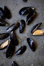 Mad tilberedt af Christian F. Puglisi