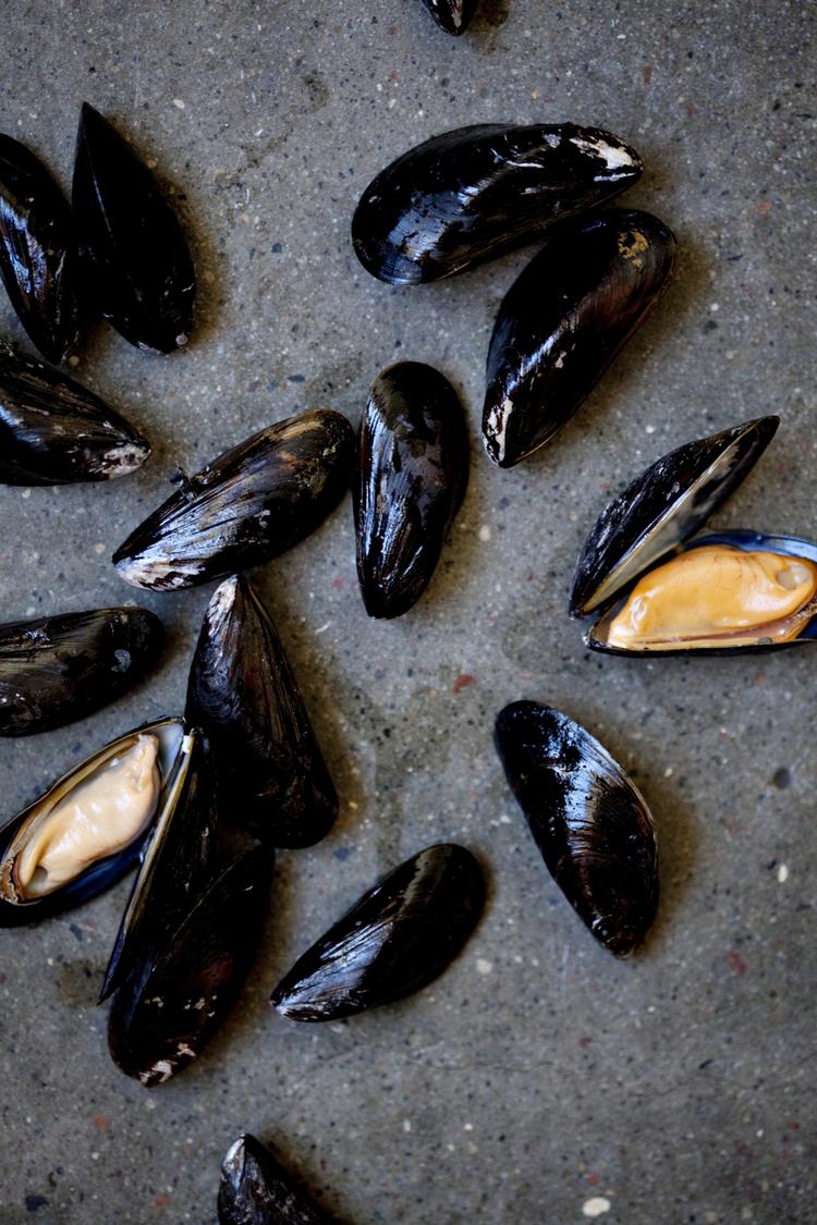 Mad tilberedt af Christian F. Puglisi