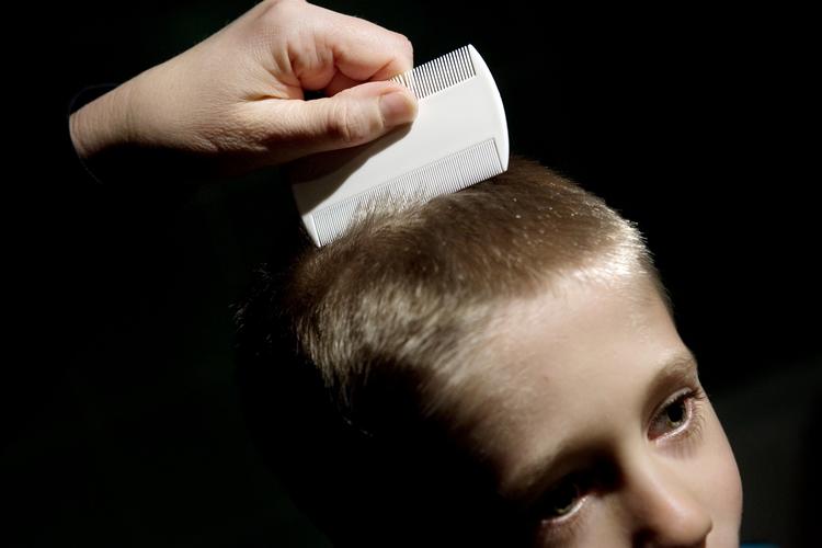 Vaccination. At have hovedlus virker som en slags vaccination imod kropslus, der før i tiden bar på farlige sygdomme. 