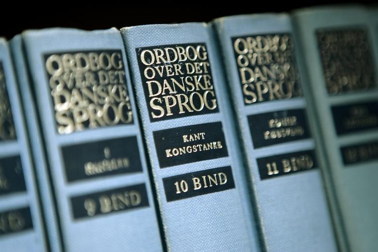 SPROGTEKNIK. Dansk er tilsyneladende ikke attraktivt nok for udviklerne af stavekontroller, stemmestyring og anden sprogteknologi. Dermed kan det danske sprog blive hægtet af it-udviklingen, advarer forskere. 