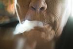 Giftigt. Når din nabo smøger den går du ikke fri for skadelige stoffer og usunde partikler. 