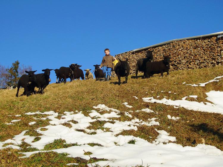 Bjældeklang. Med 87 næsten ordløse minutter skaber dokumentaren om et alpint landsbyliv for børn rolig resonans i biografgæsten - eller rastløshed. 