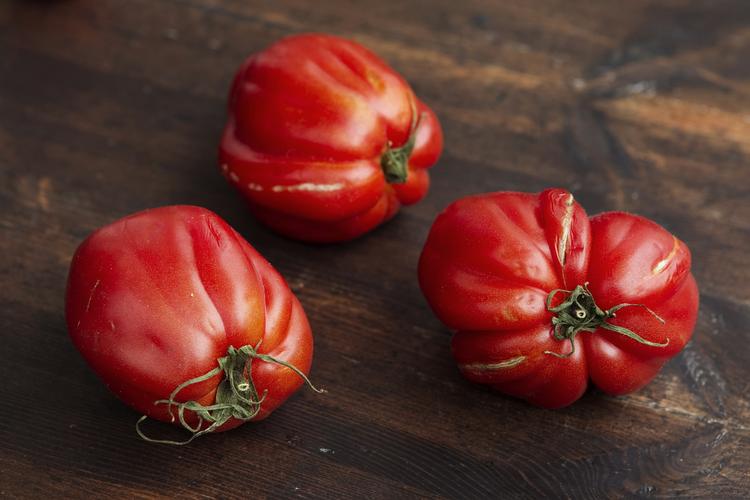 Formeringslyst. Tomatfrø er spiredygtige i fire år. 