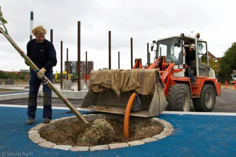Broget. Den ny Nørrebro-park får grillpladser, klatrestativer, multibane - og en stribe nyplantede træer. 