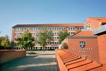 AFSTEMNING. Medlemmerne af kommunalbestyrelsen i Vallensbæk skal i aften tage stilling til, om kommunens kommunaldirektør skal fyres. 