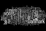 Wordcloud. En 'ordsky' viser vægtningen af oftest benyttede ord i statsministerens åbningstale. Ordskyen er lavet med programmet www.wordle.net. 