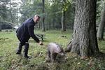 Prøveskud. Lyngby Bueskyttelaug skal oplære Det Kongelige Teaters skuespillere i at ramme plet. Her viser Mikael Birkkjær, der skal spille rollen som Robin Hood, at han har talent. 