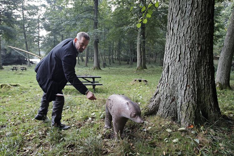 Prøveskud. Lyngby Bueskyttelaug skal oplære Det Kongelige Teaters skuespillere i at ramme plet. Her viser Mikael Birkkjær, der skal spille rollen som Robin Hood, at han har talent. 