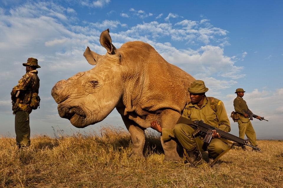 Brent Stirton