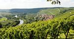 TOP. Vinrankerne på bjergskråningerne i Franken-området producerer i en række rigtigt gode vine. 