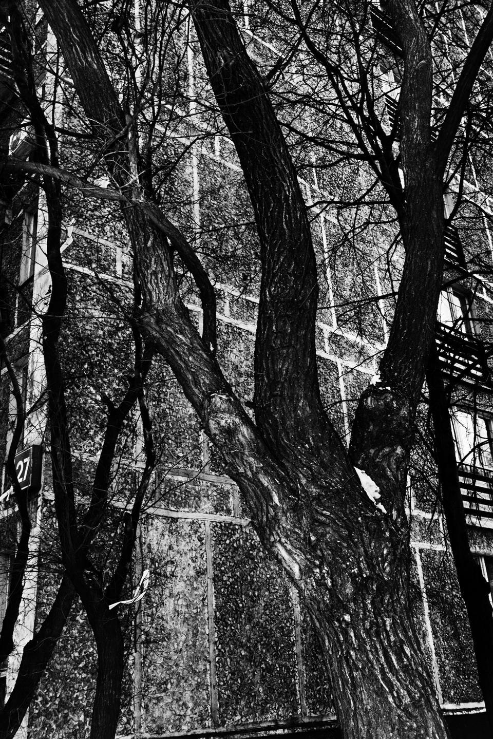 ©Jacob Aue Sobol/MAGNUM PHOTOS