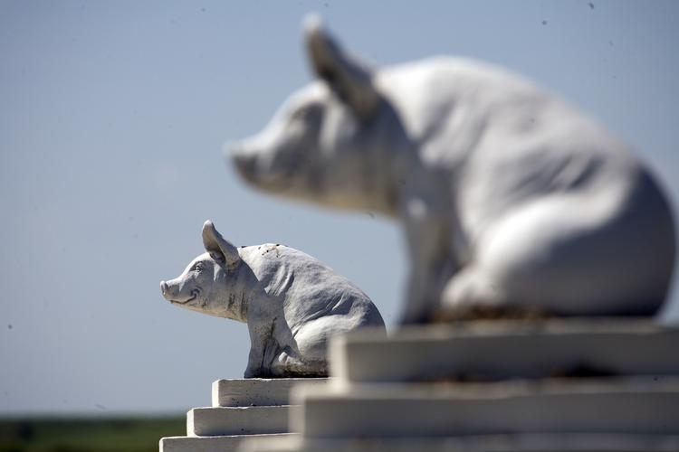 STATUER. Et par statuer af gamle krigerkonger skal fjernes i Stockholm, foreslår et par politikere. Hvilke statuer så du gerne fjernet fra det offentlige rum i Danmark? 