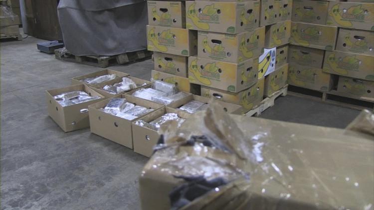 Bananas. Aldrig før har myndighederne i Holland eller Belgien scoret så stort et parti kokain. 