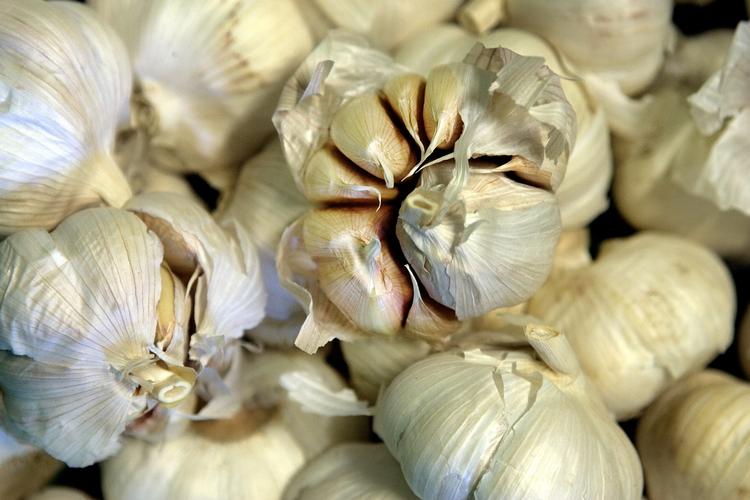 Delegården Brinkholm